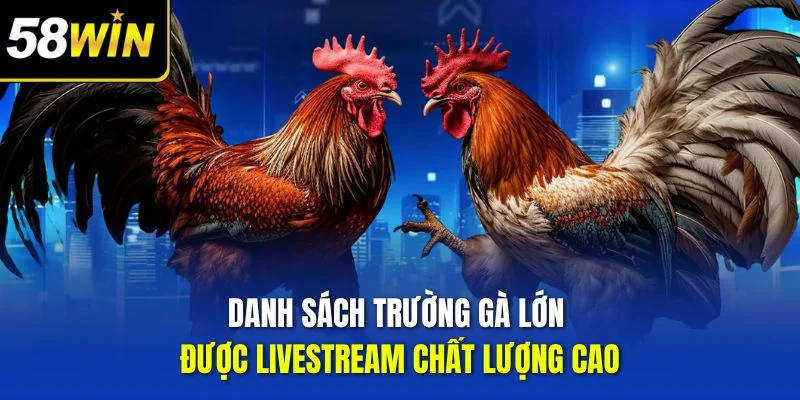 Danh sách trường gà lớn được livestream chất lượng cao