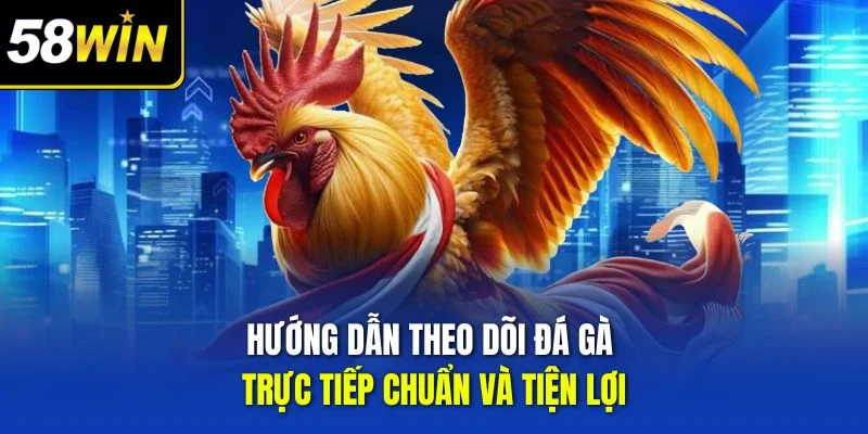 Hướng dẫn theo dõi đá gà trực tiếp chuẩn và tiện lợi