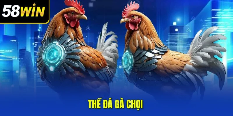 Thế đá gà chọi